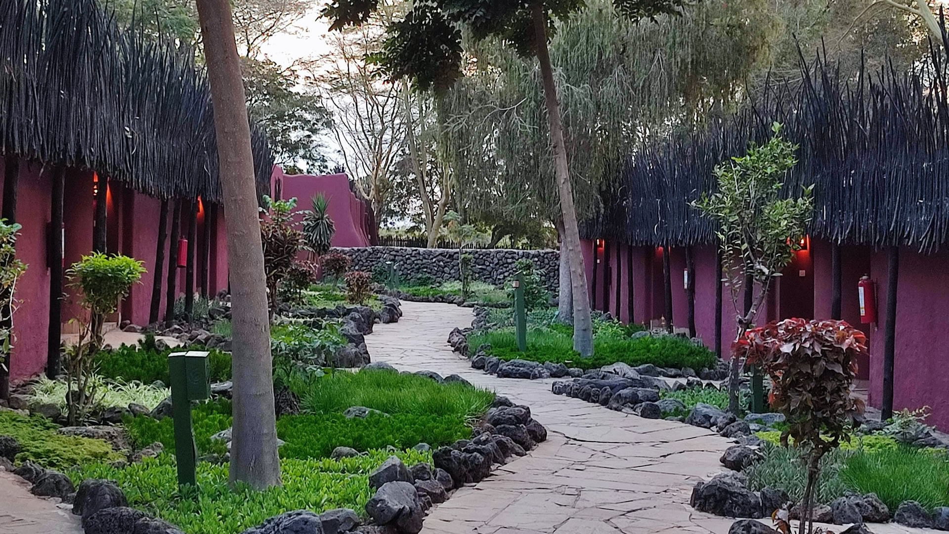 Exterior Views, Amboseli Serena Safari Lodge