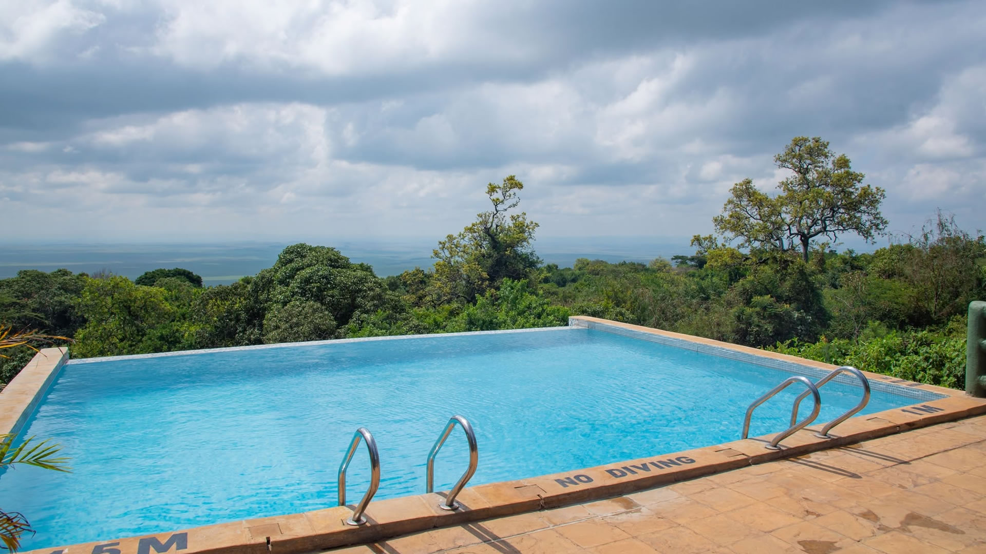 Infinity pool with savannah views