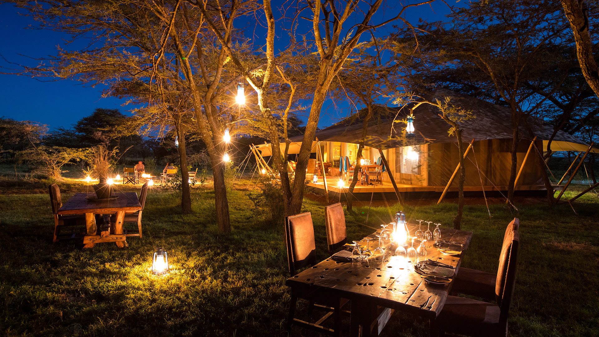 Bush dining under the stars, Mara Plains Camp