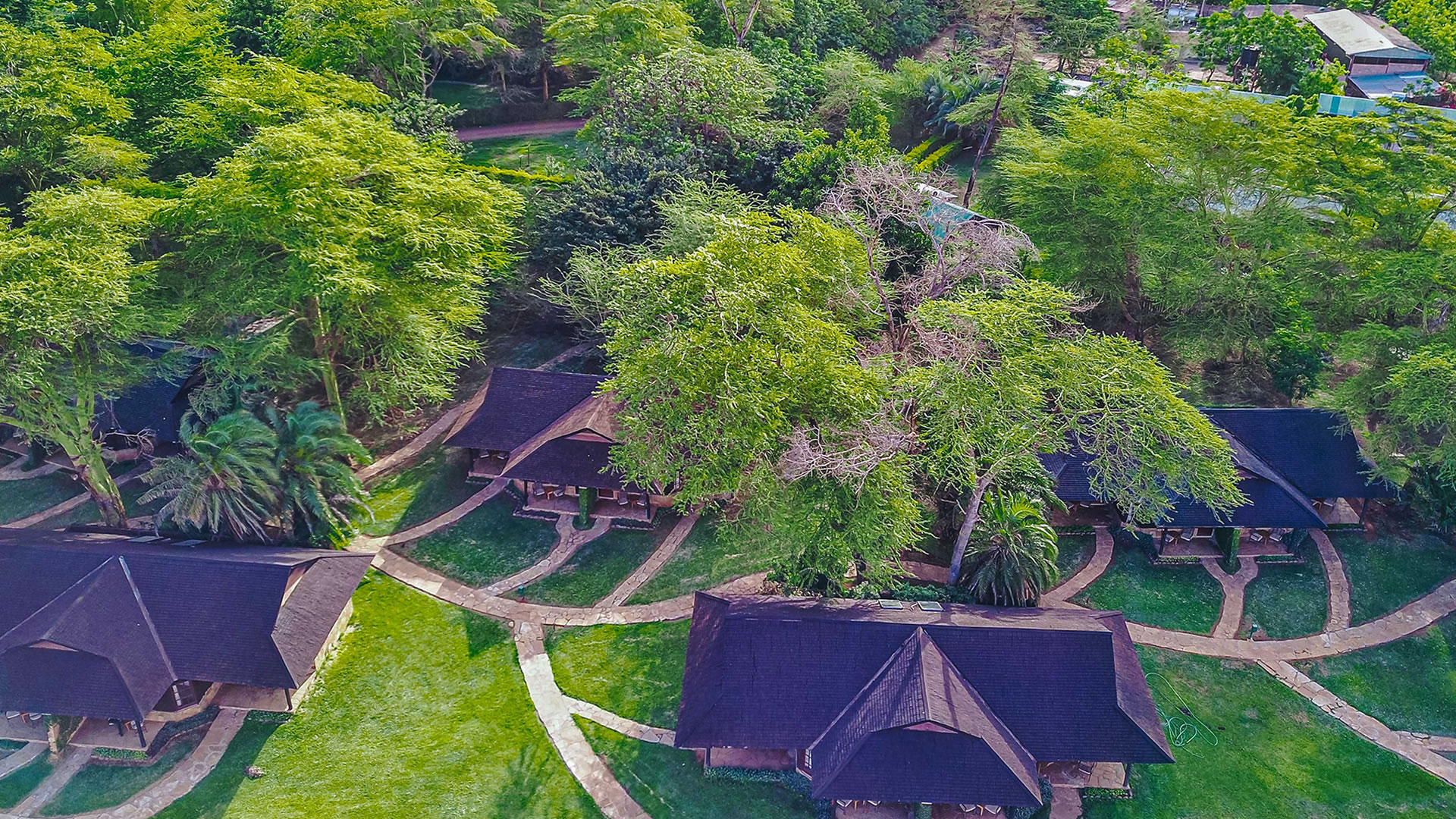Overhead Views, Oltukai Lodge