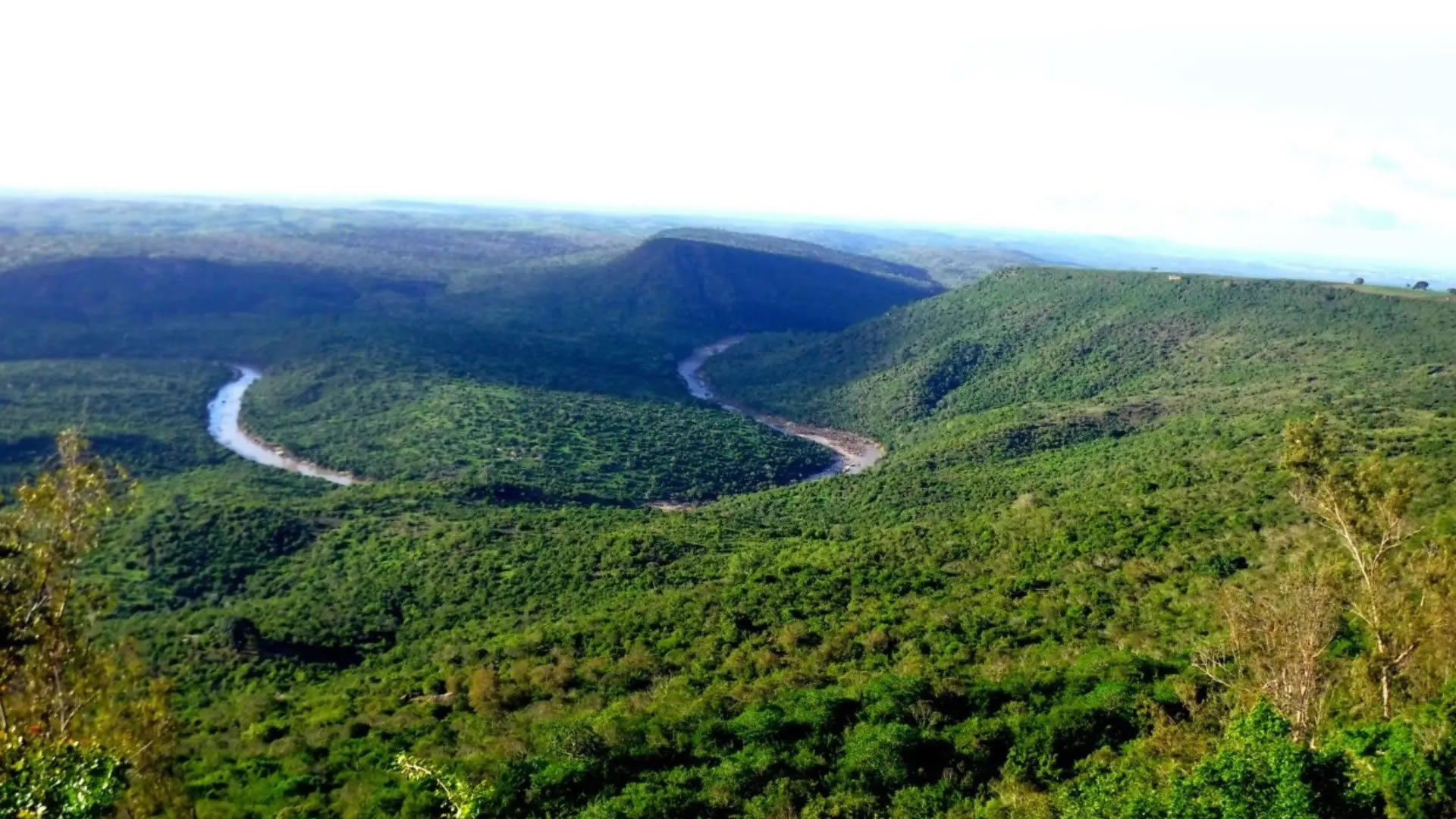 Shimba Hills Reserve