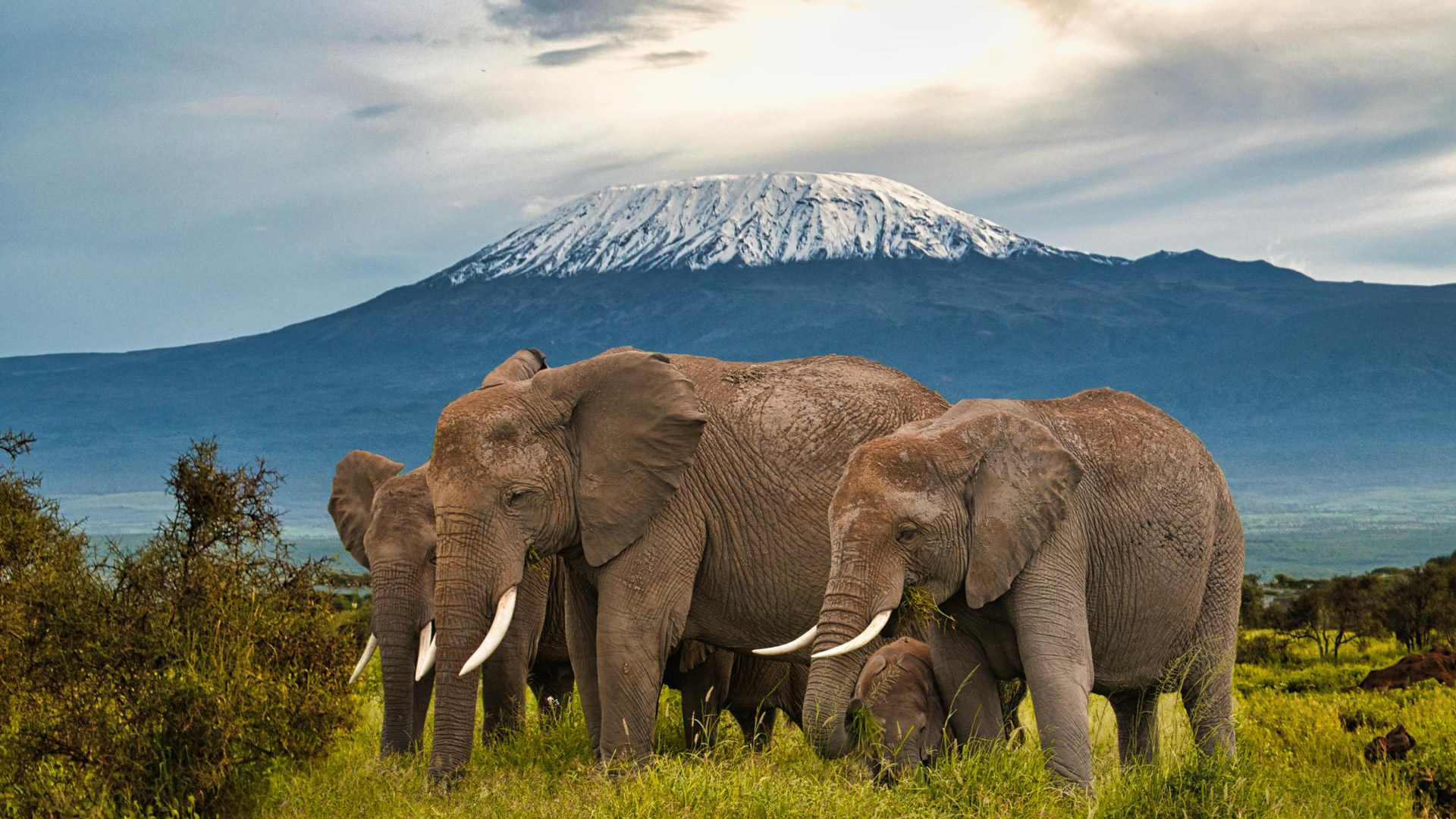 Amboseli National Park Amboseli National Park