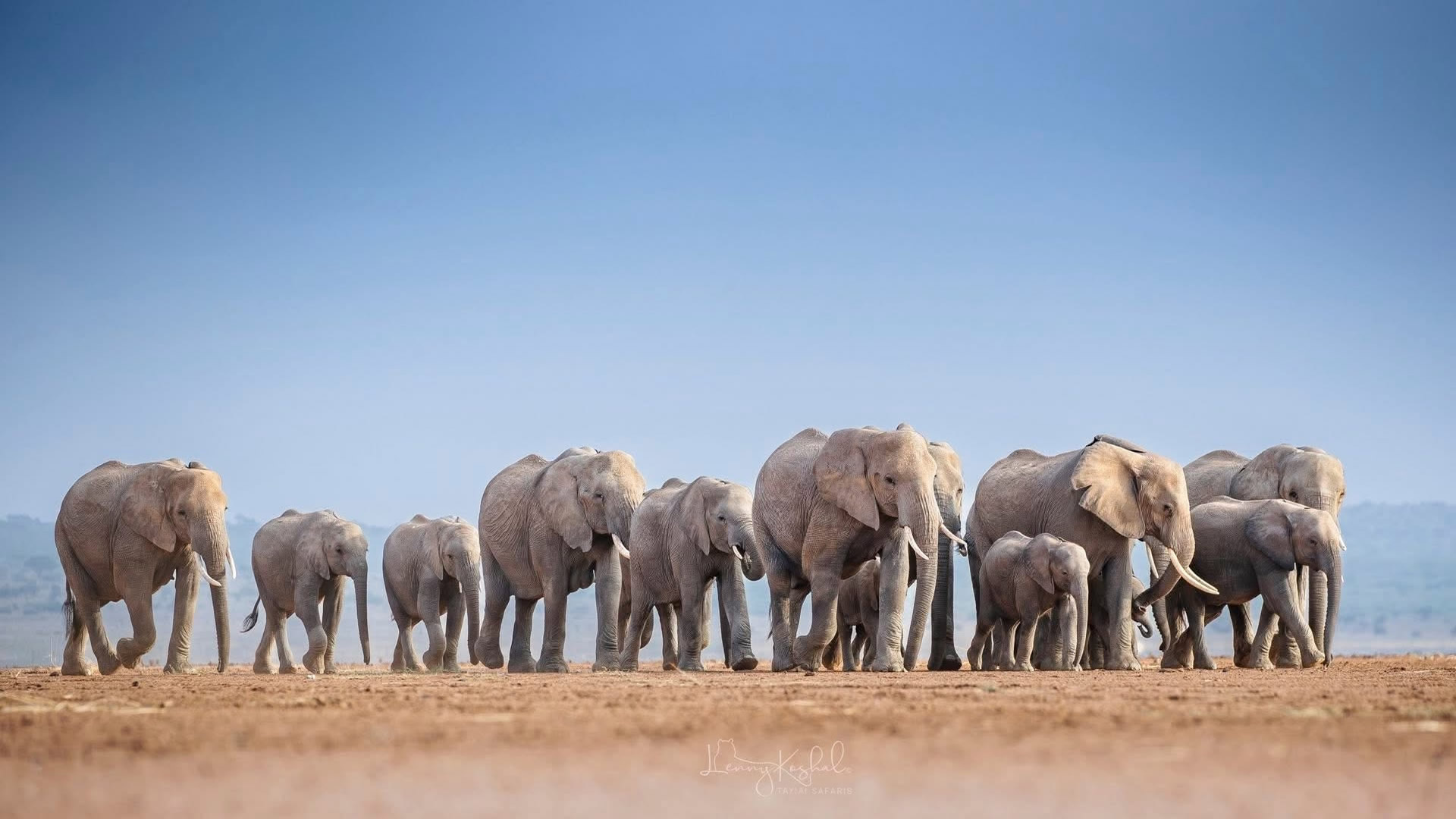 Amboseli National Park Amboseli National Park