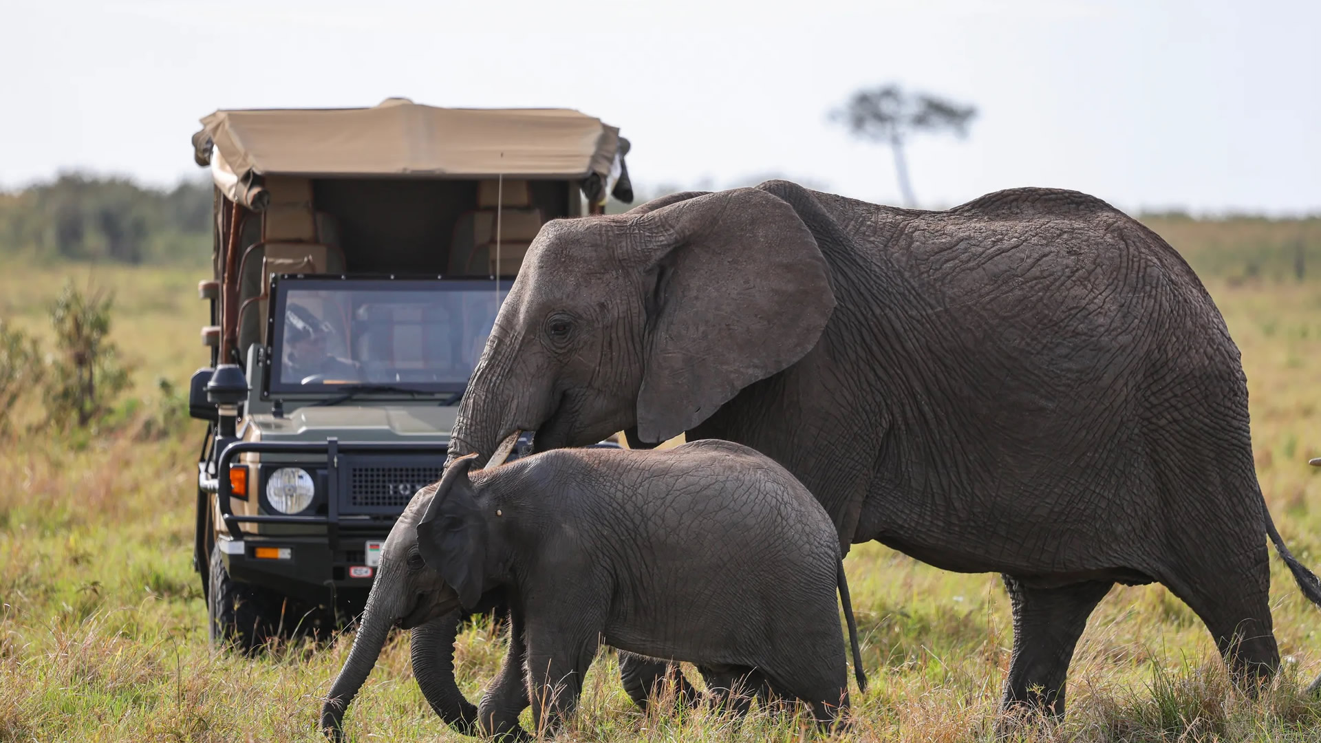 Maasai Mara Game Reserve Maasai Mara Game Reserve