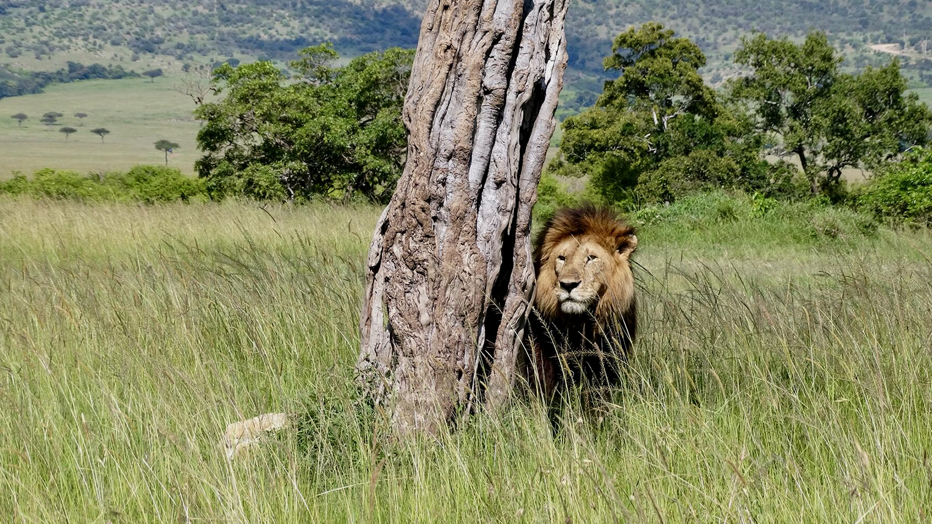 Maasai Mara Game Reserve Maasai Mara Game Reserve