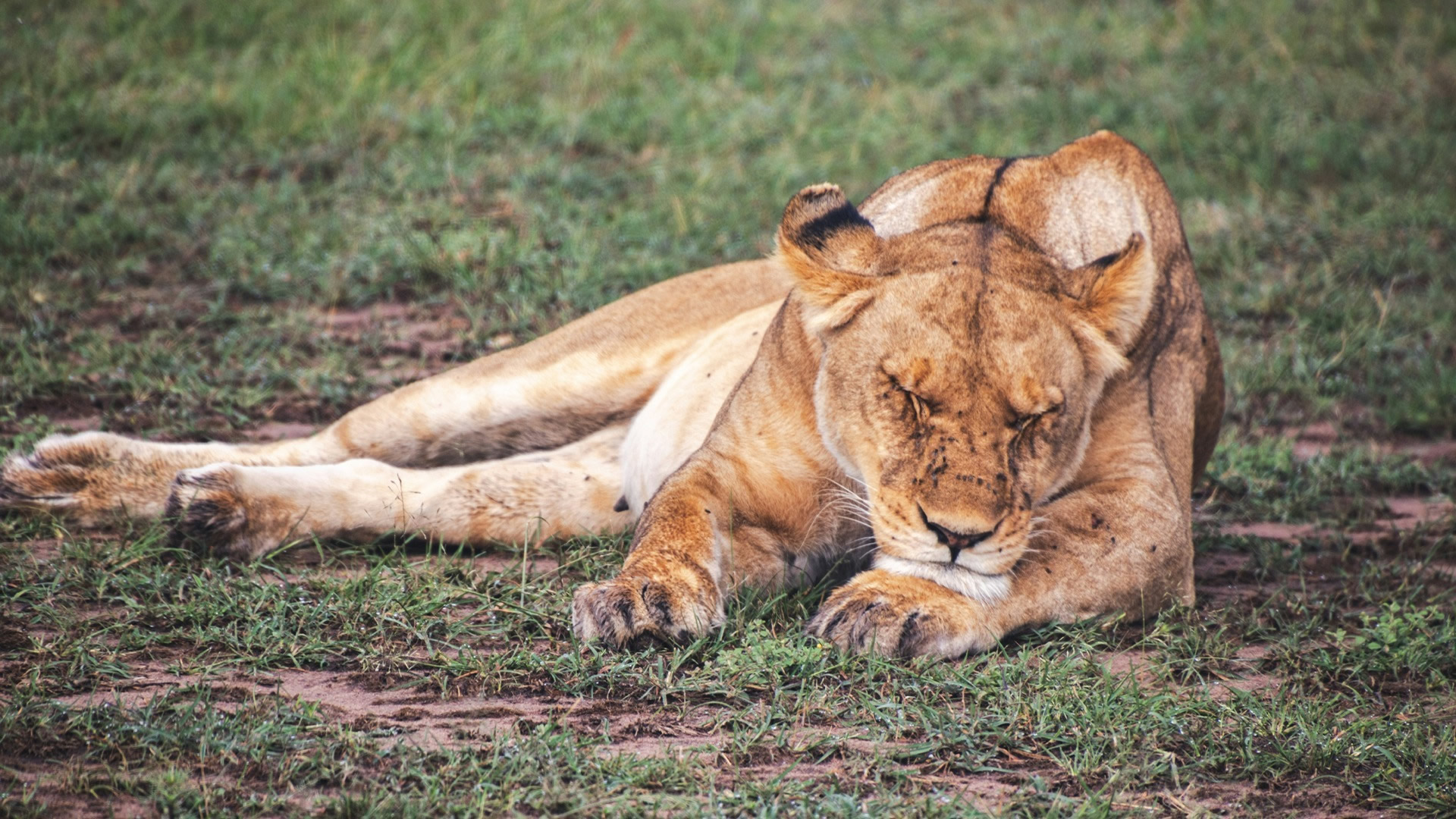Meru National Park Meru National Park