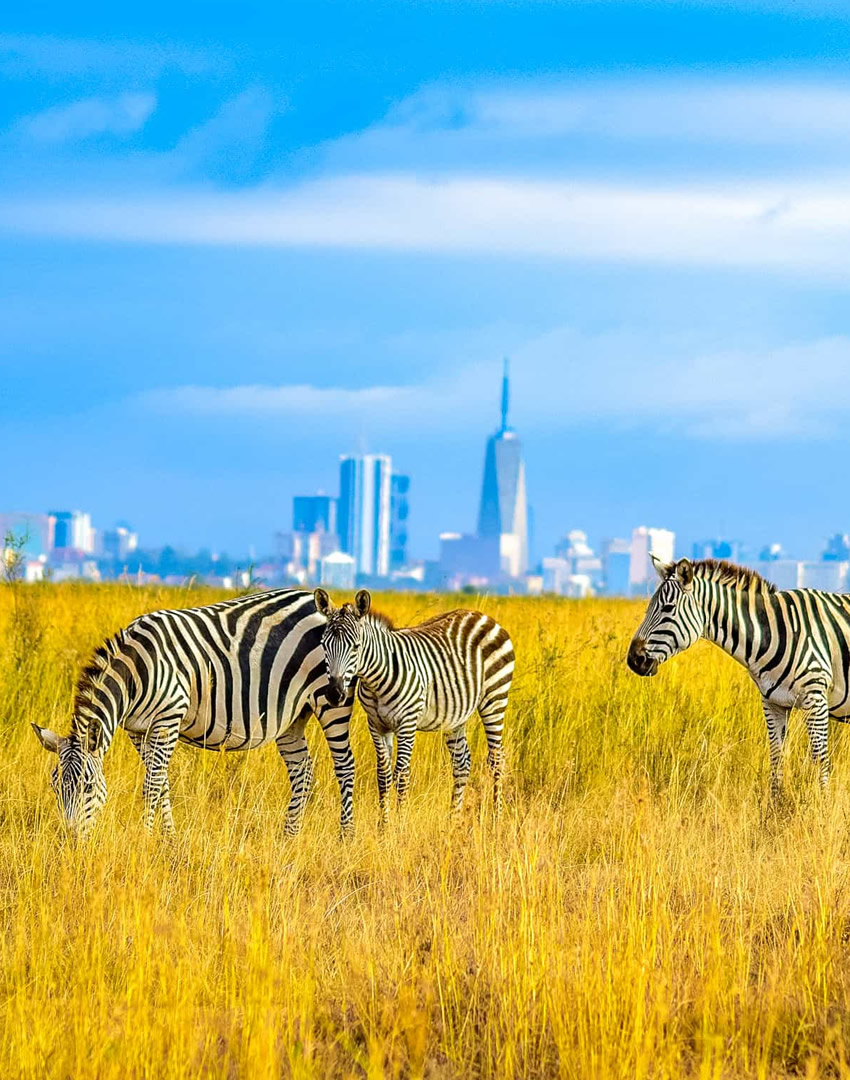Nairobi National Park