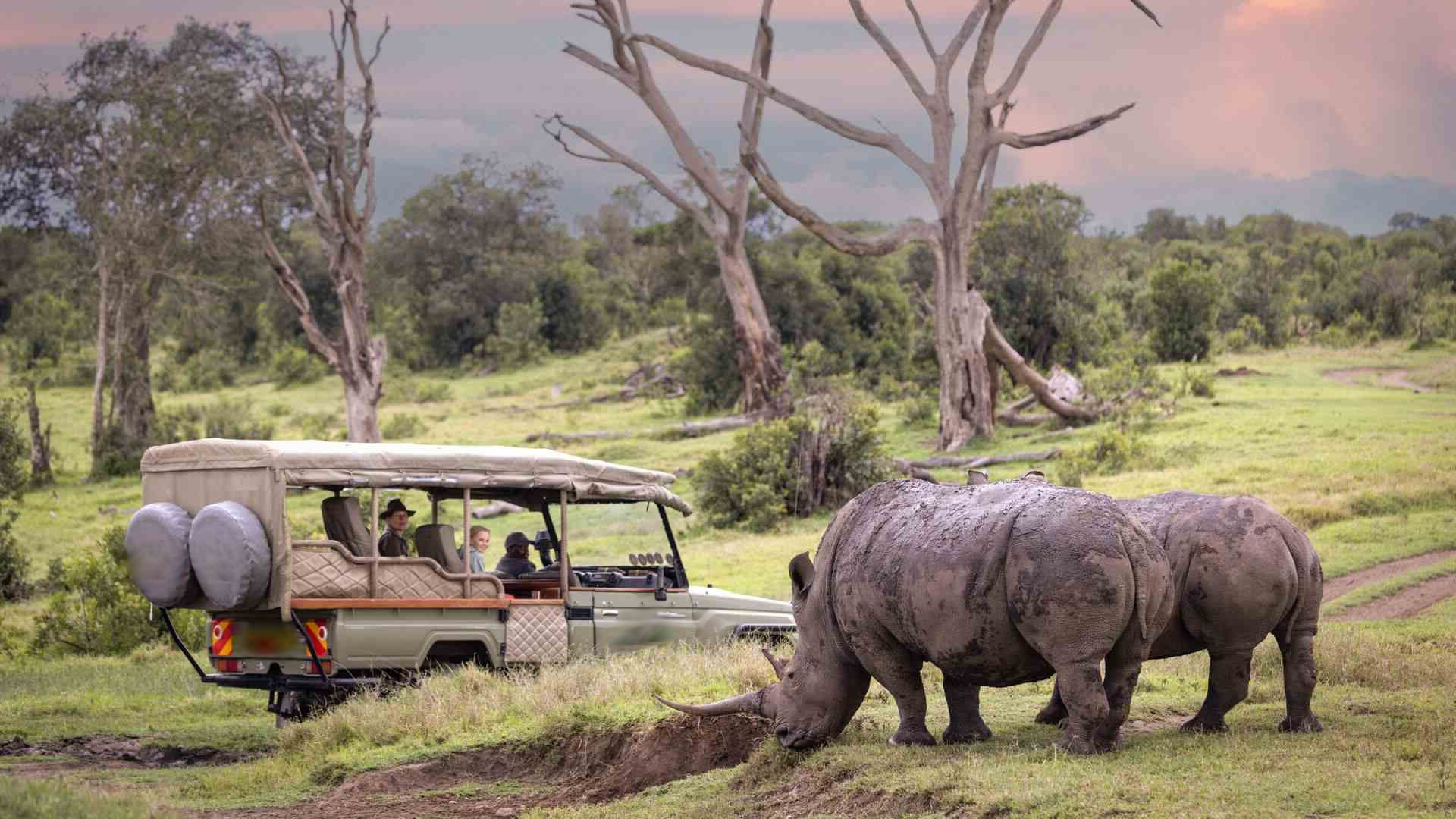Ol Pejeta Conservancy Ol Pejeta Conservancy