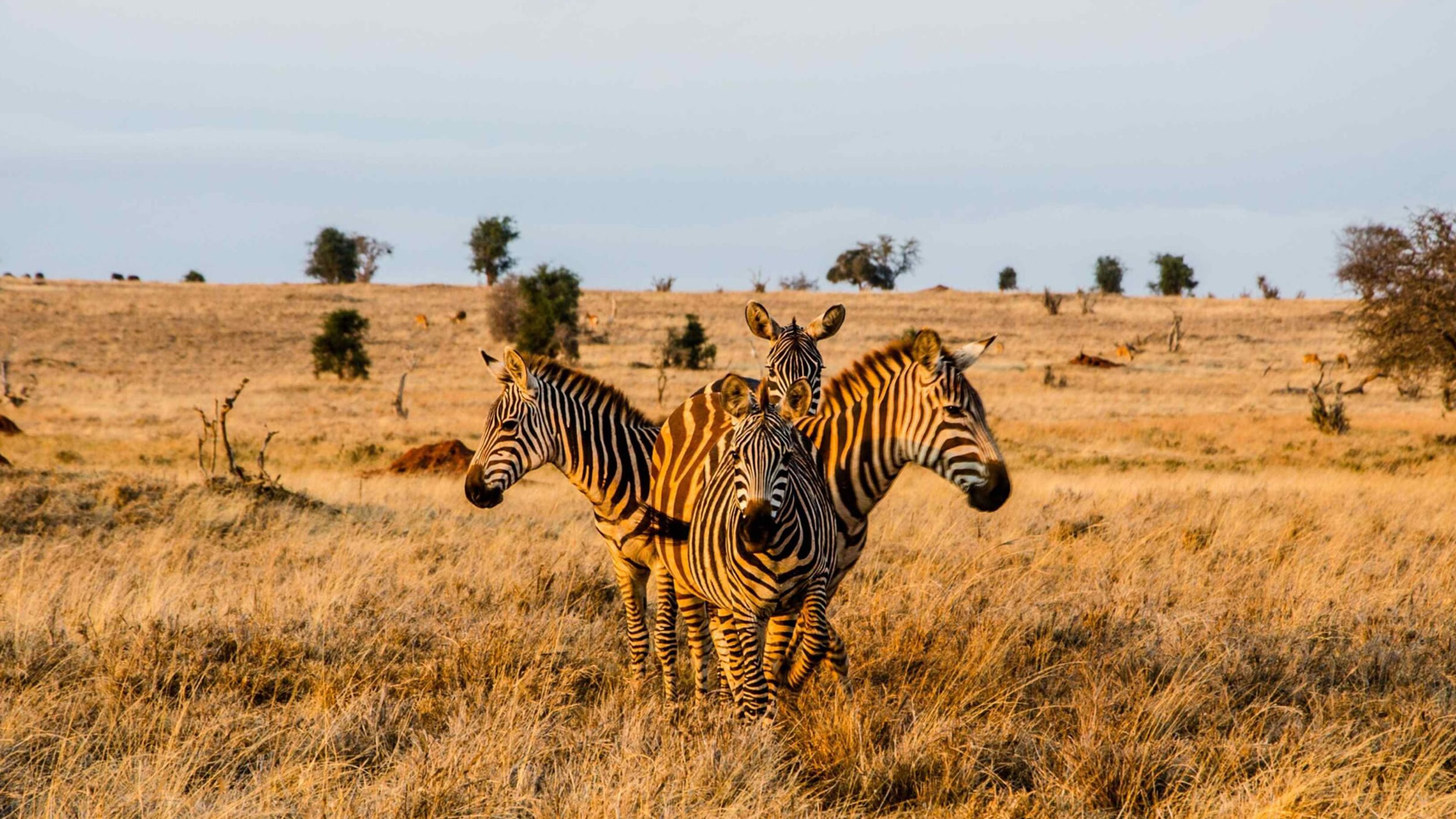 Tsavo East National Park Tsavo East National Park