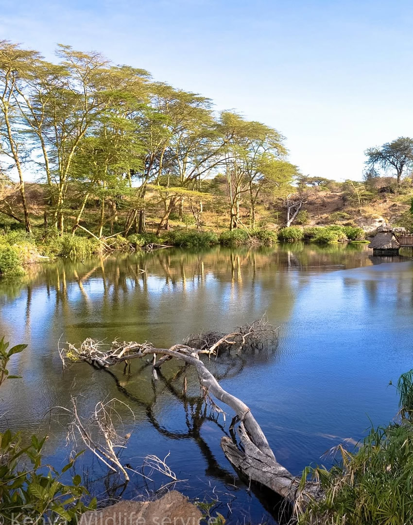 Tsavo West National Park
