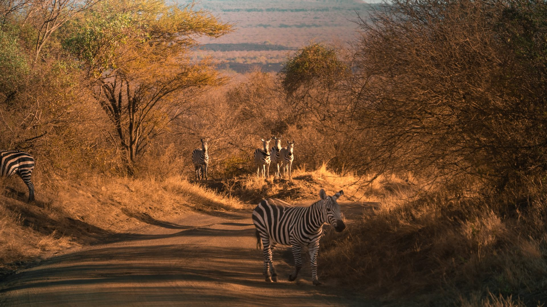 Tsavo West National Park