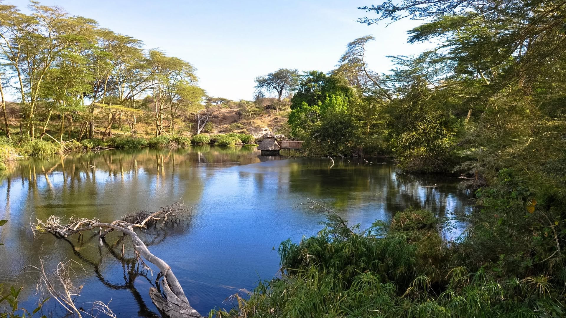 Tsavo West National Park