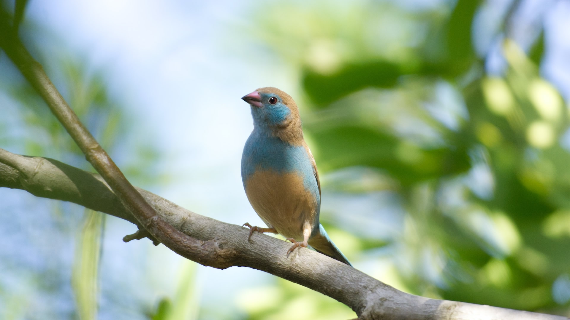 Gishwati-Mukura National Park