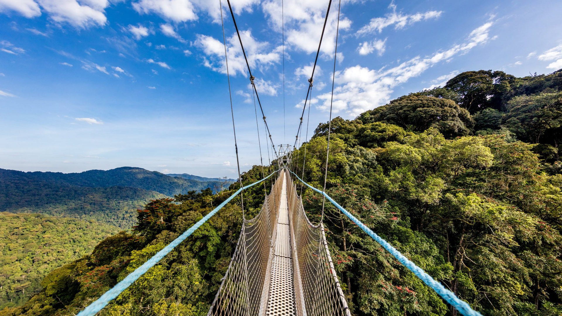 Nyungwe Forest National Park