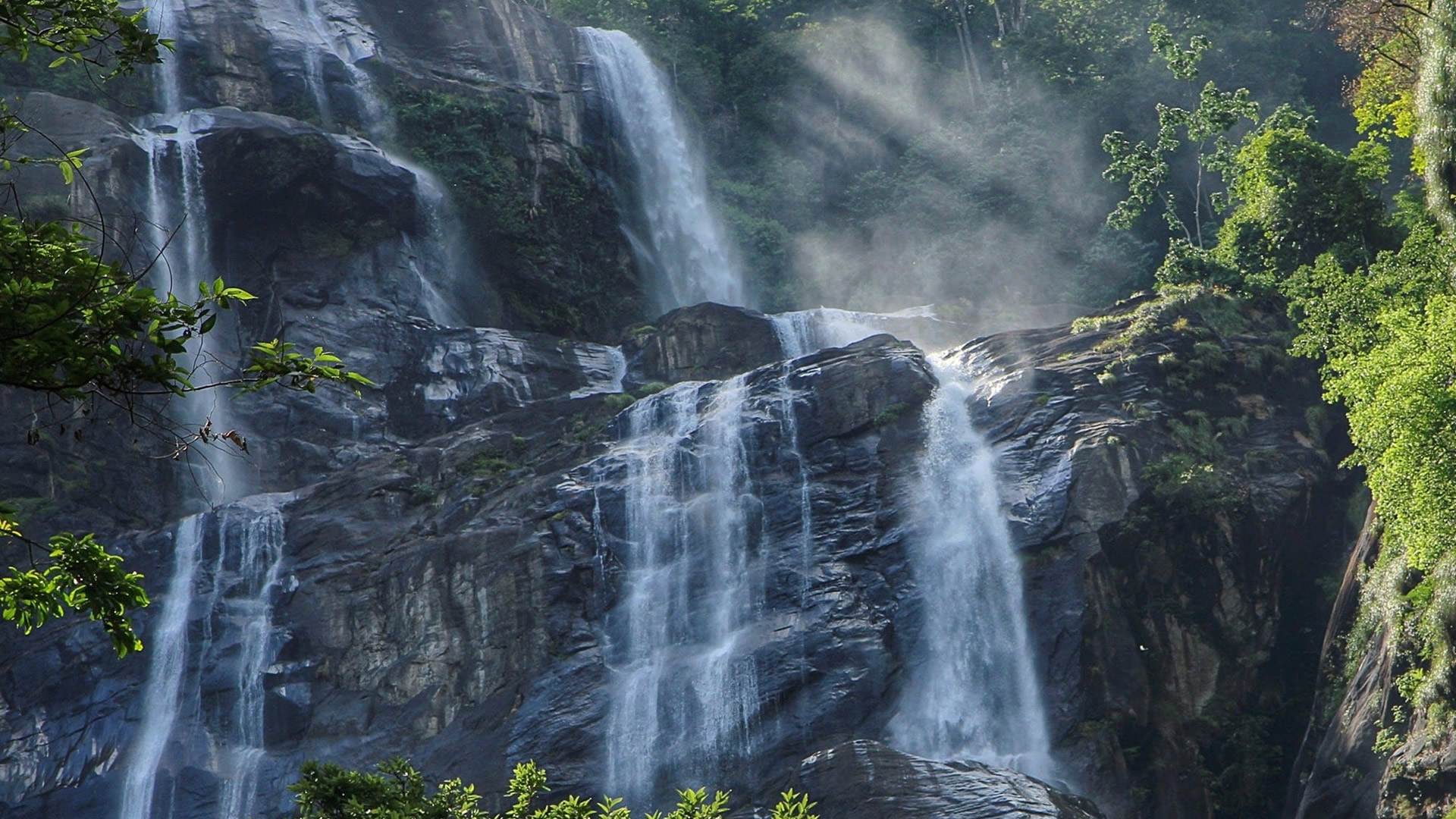 Gombe National Park Gombe National Park