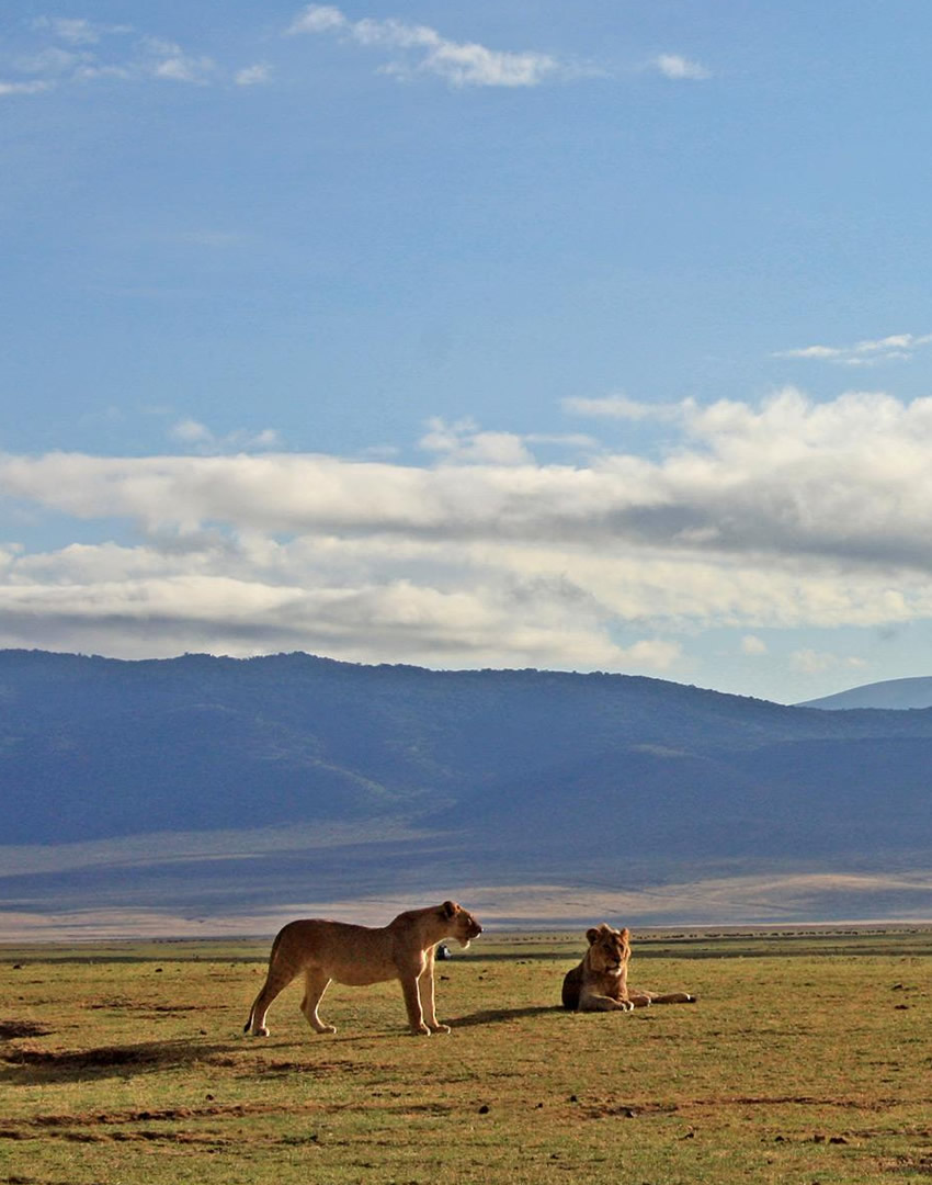 Ngorongoro Conservation Area