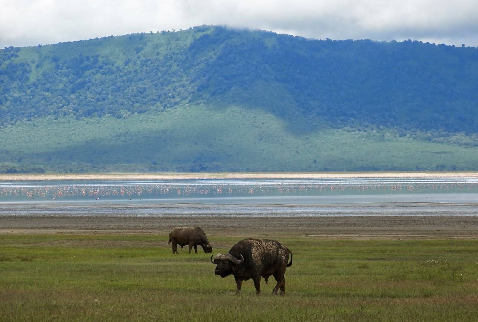 Ngorongoro Conservation Area
