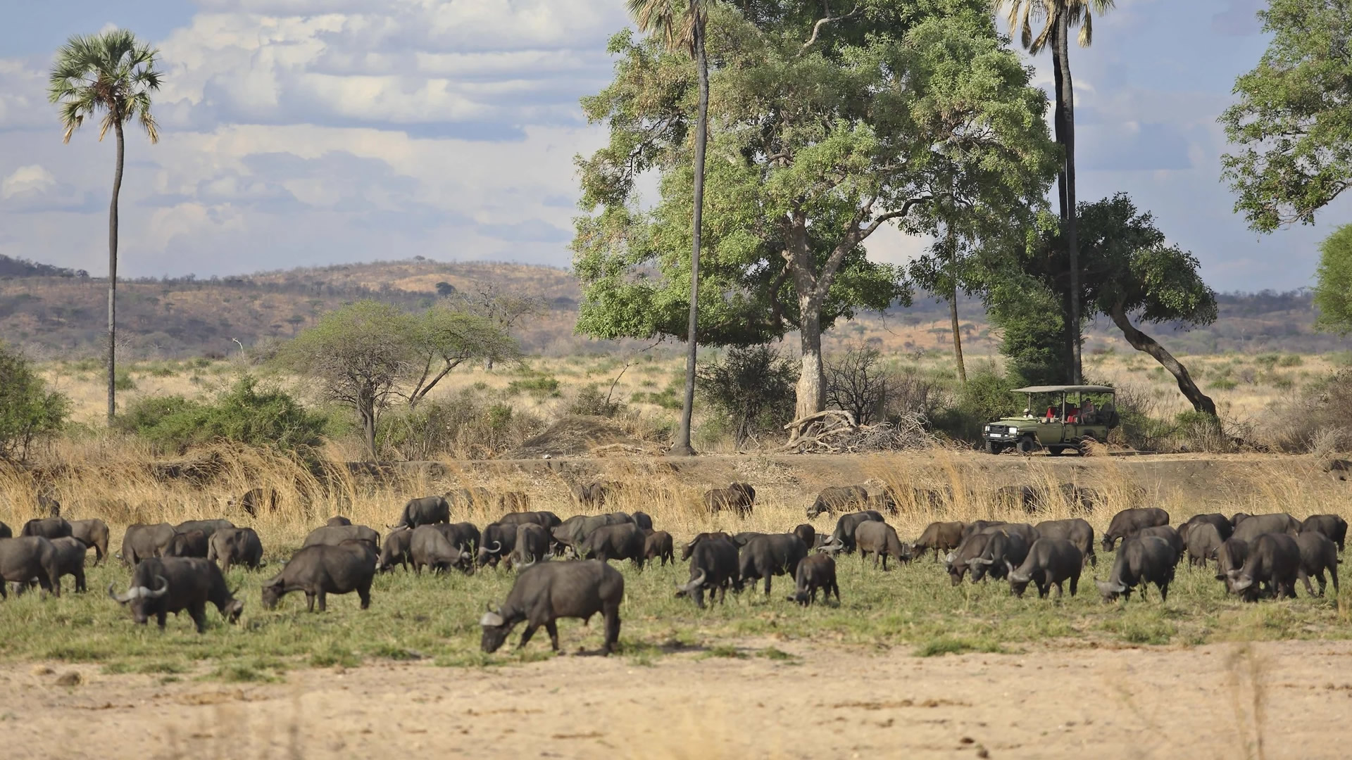 Ruaha National Park Ruaha National Park