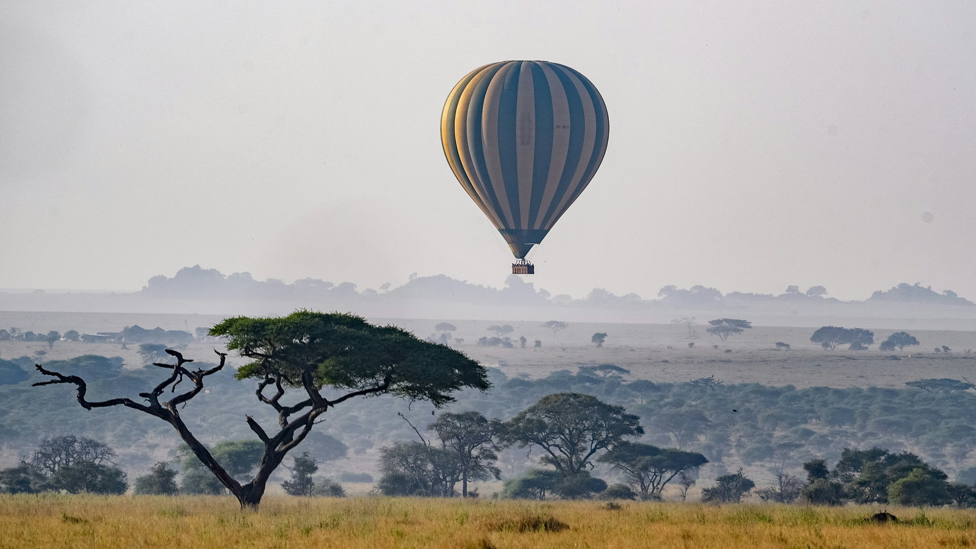 Serengeti National Park Serengeti National Park