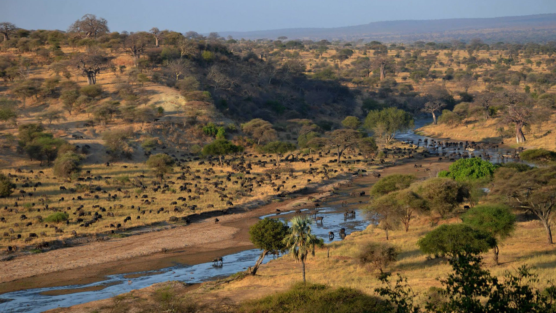 Tarangire National Park Tarangire National Park