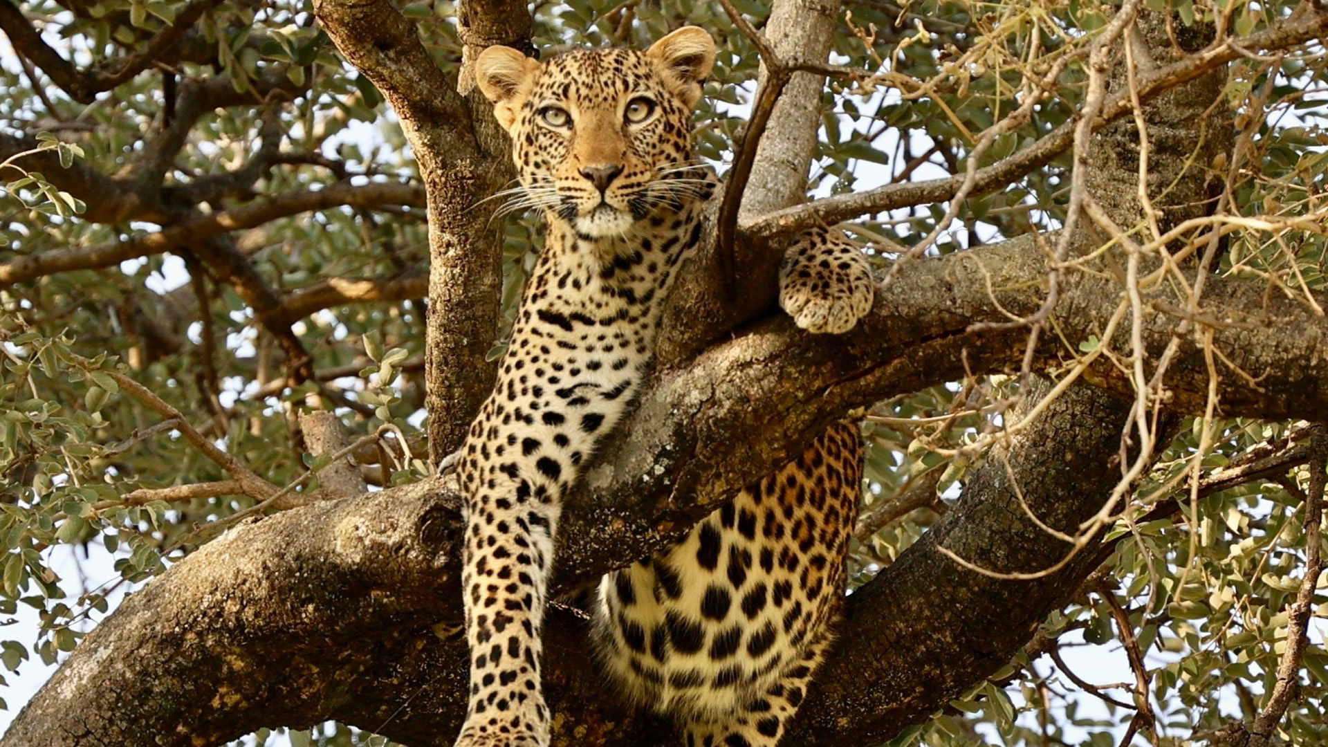 Tarangire National Park Tarangire National Park