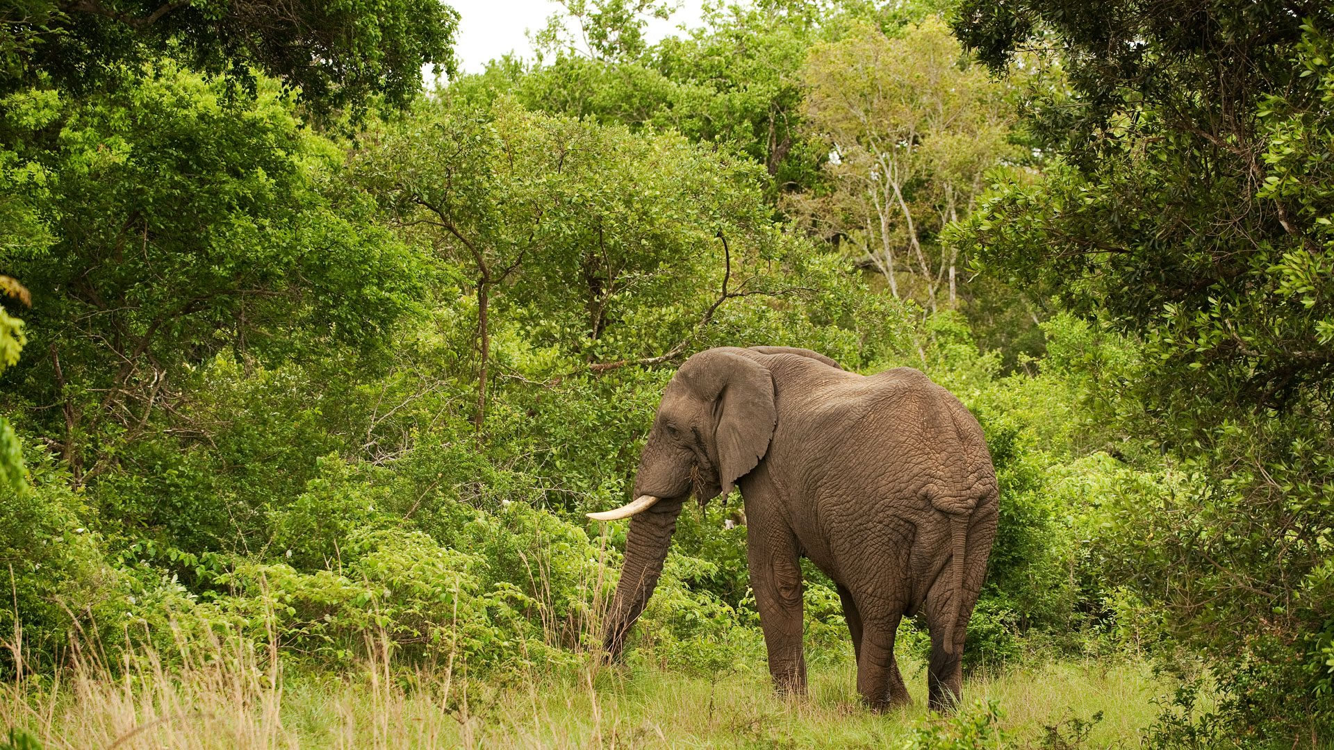 Tarangire National Park Tarangire National Park
