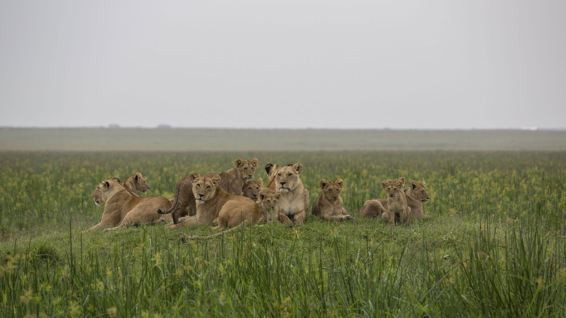 Kidepo Valley National Park Kidepo Valley National Park