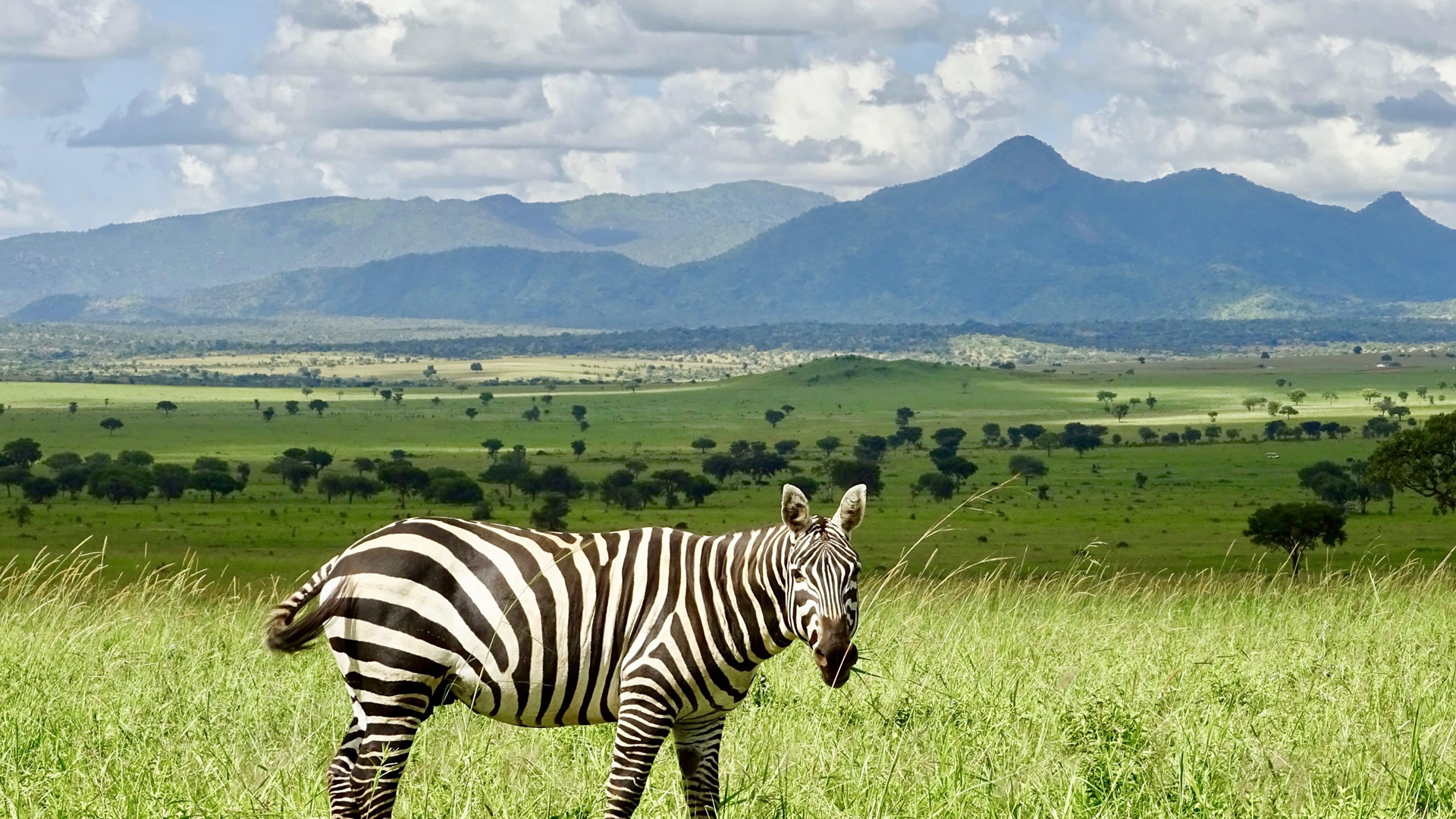 Kidepo Valley National Park Kidepo Valley National Park