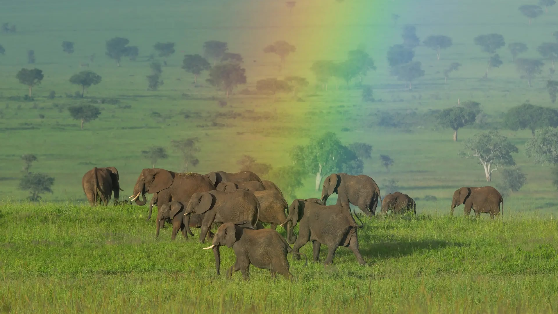 Kidepo Valley National Park Kidepo Valley National Park