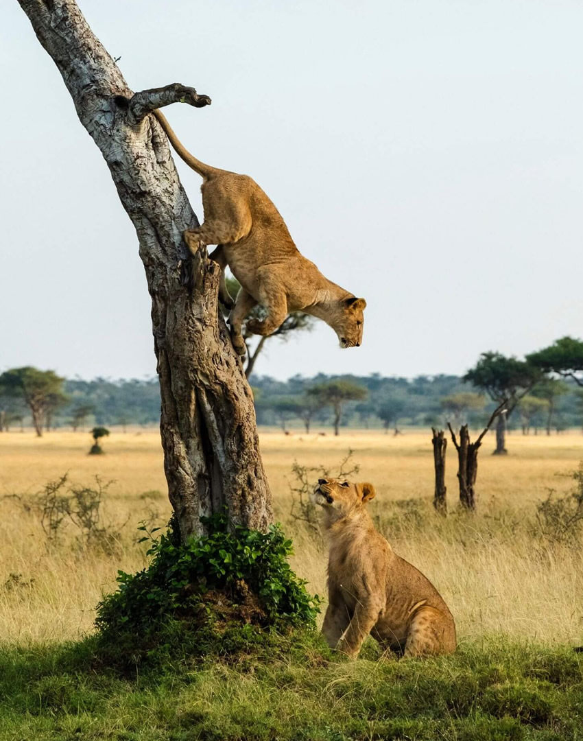 Queen ELizabeth National Park