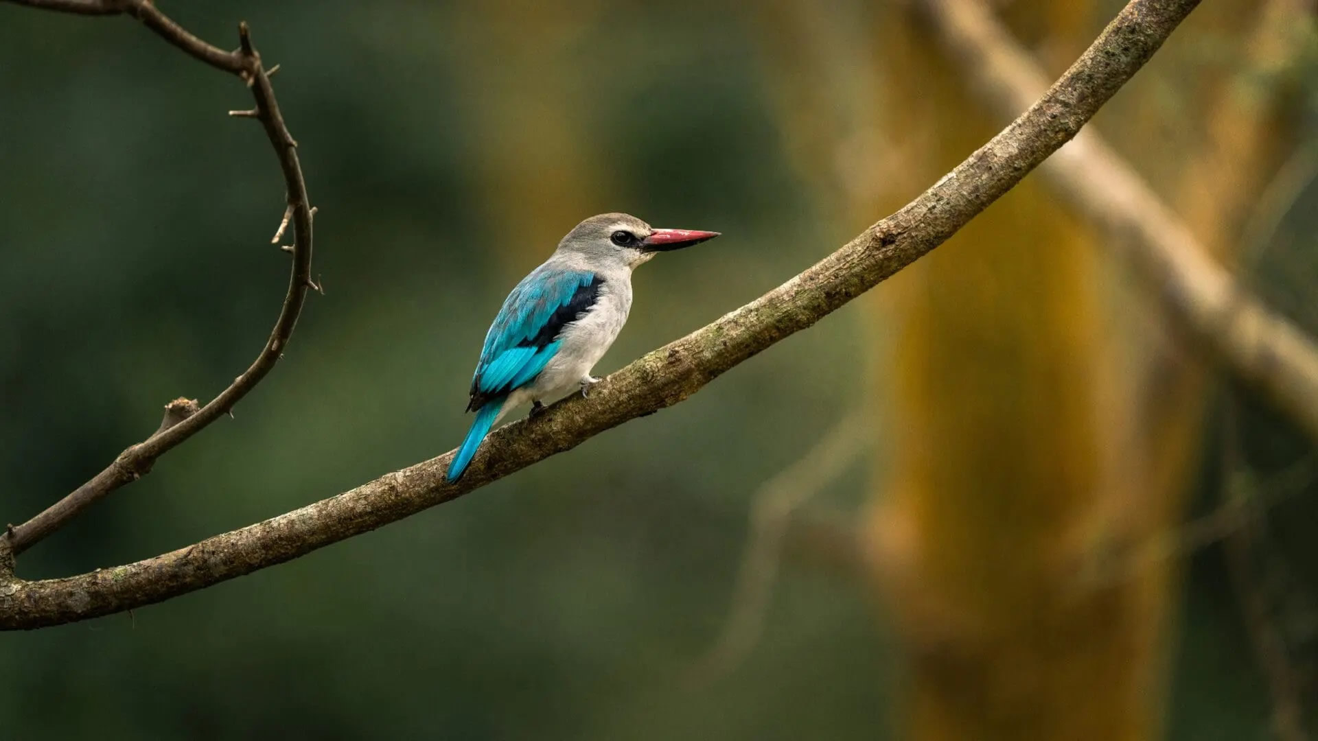 Queen Elizabeth National Park