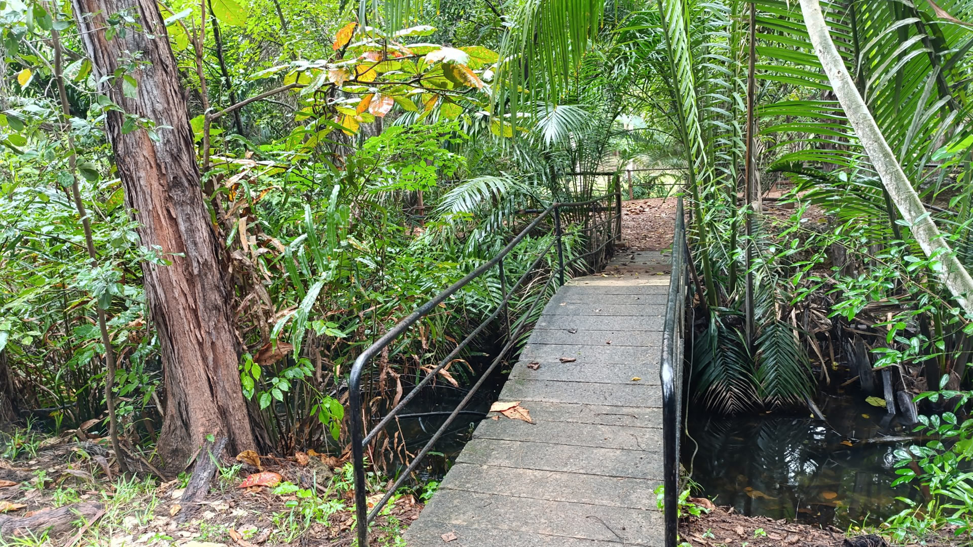 Bamburi Forest Trail Hike