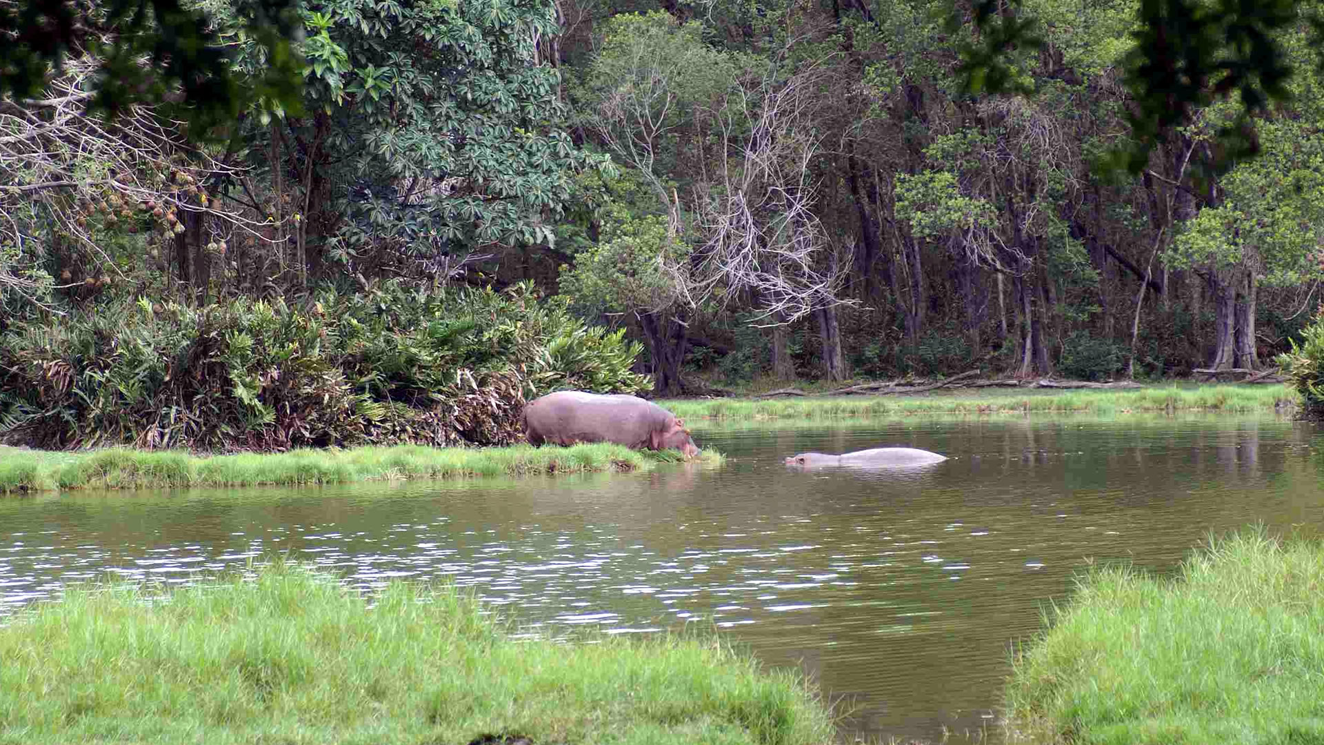 Haller Park & Bamburi Nature Trail