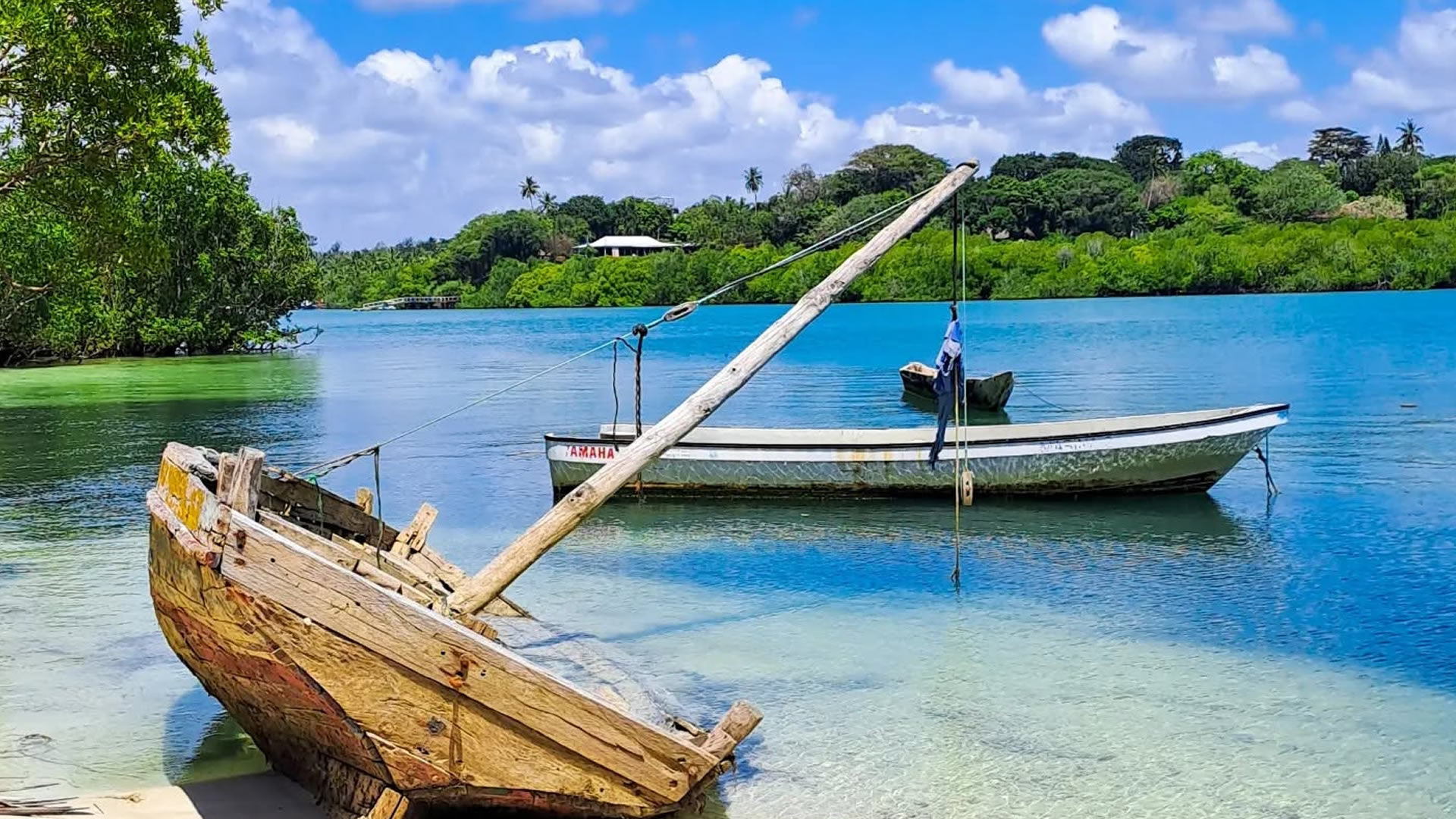 Mangrove Boat Tours in Mtwapa Creek