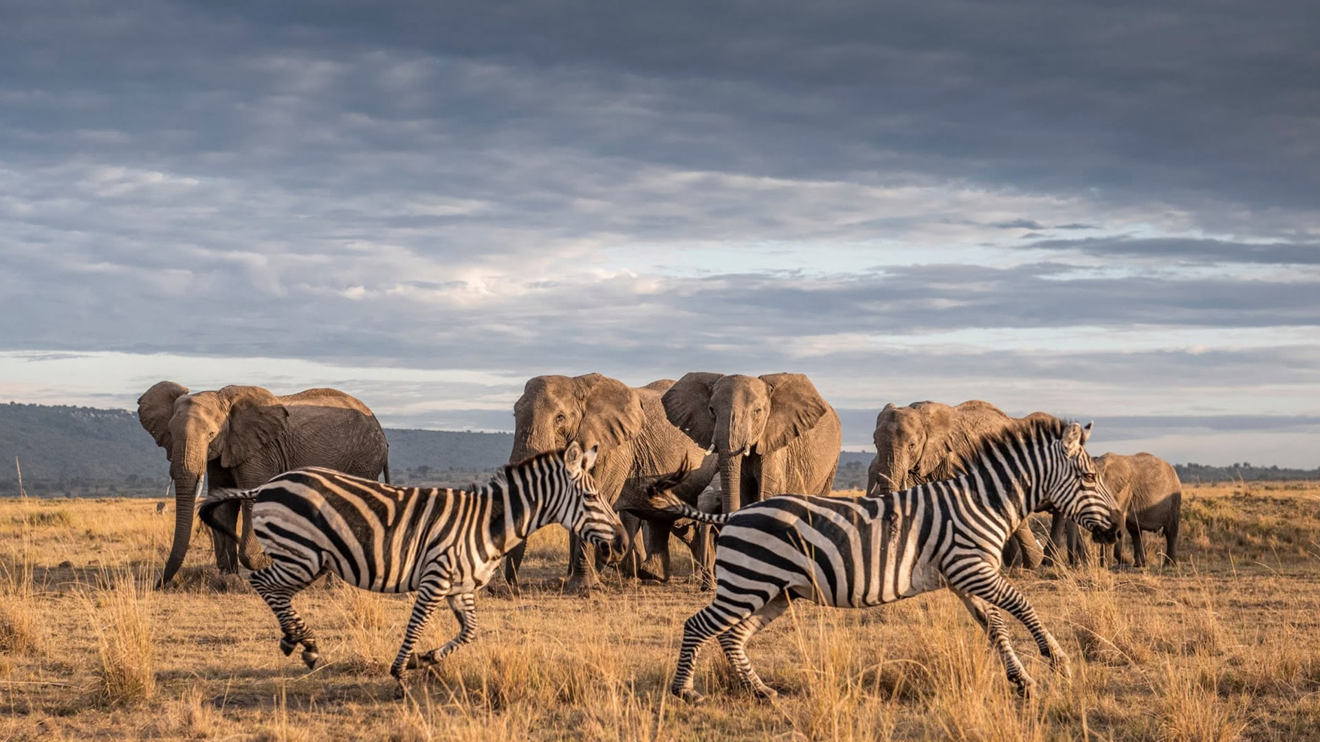 13 Days Grand Tanzania Safari — Tarangire, Serengeti & Ngorongoro