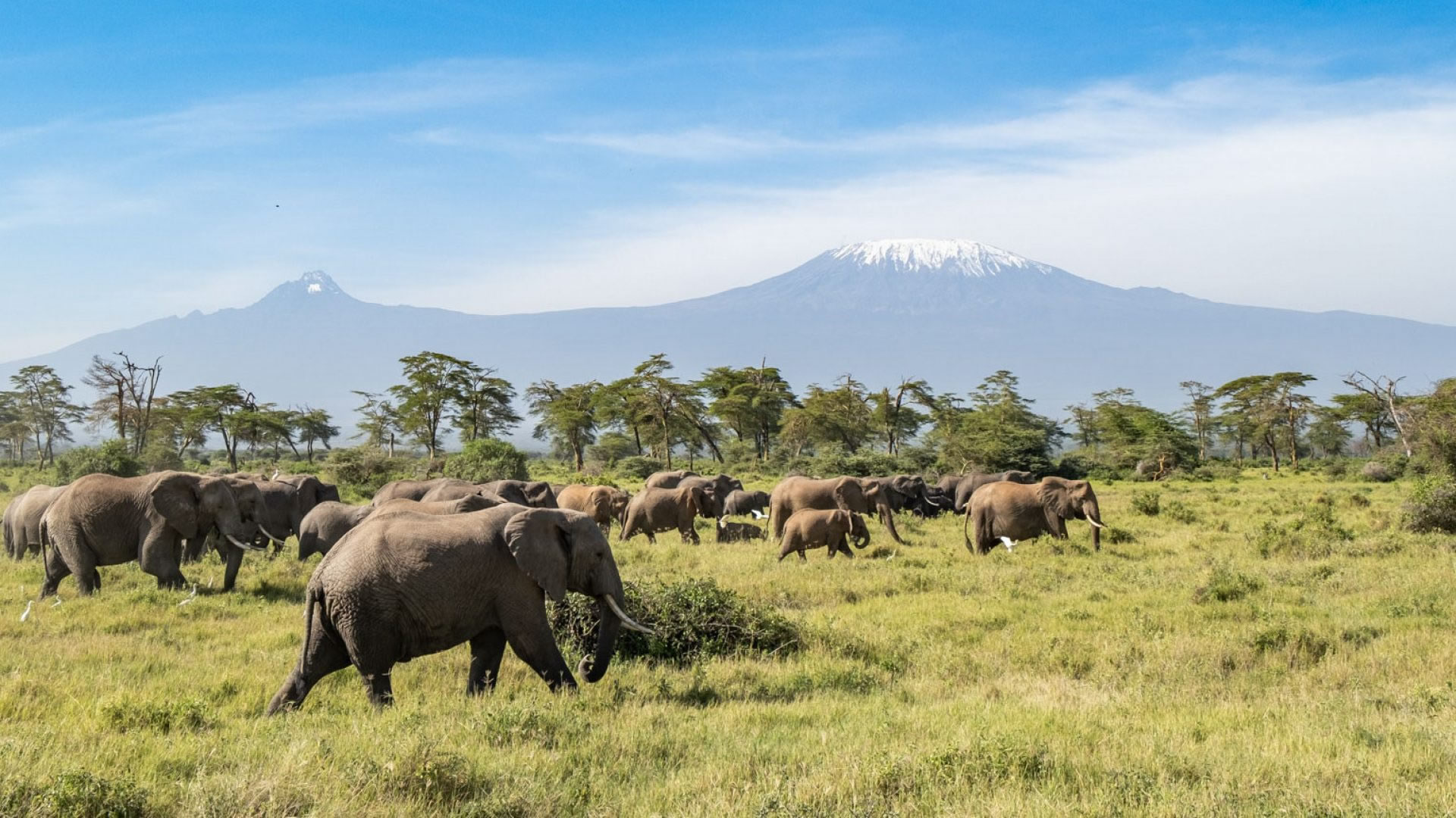 4 Days Tsavo West & Amboseli Safari from Mombasa