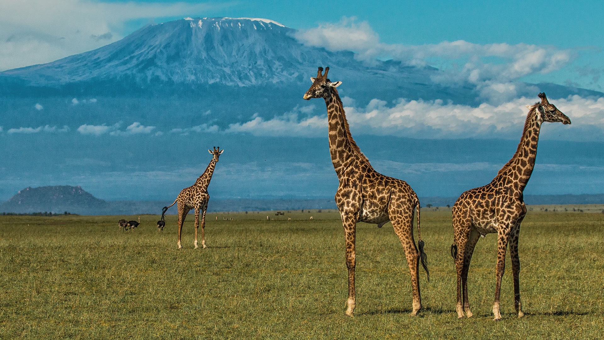 5 Days Tsavo East & Amboseli Safari