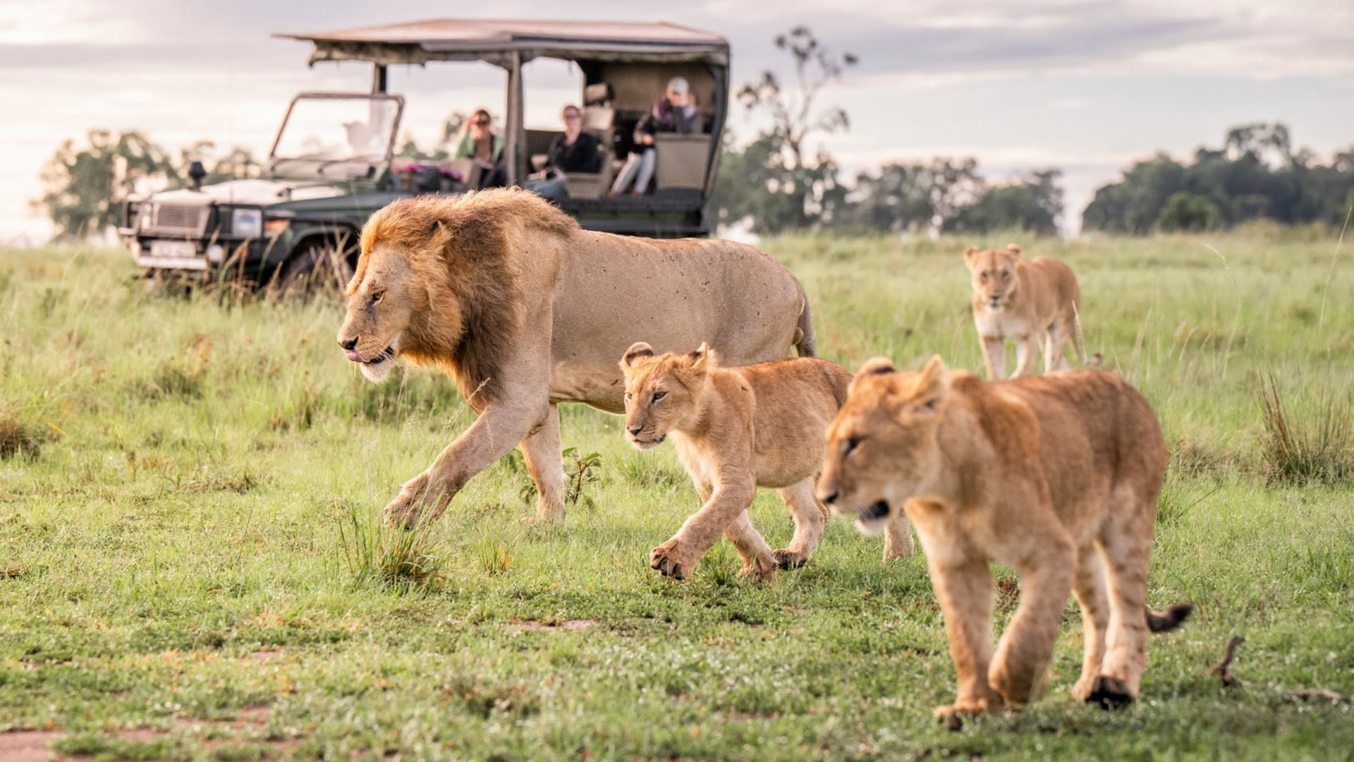 7 Days Family Safari — Lake Naivasha & Maasai Mara